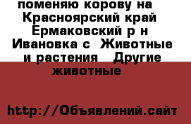 поменяю корову на  - Красноярский край, Ермаковский р-н, Ивановка с. Животные и растения » Другие животные   